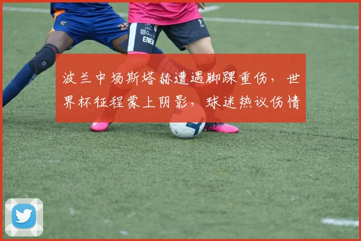 波兰中场斯塔赫遭遇脚踝重伤,世界杯征程蒙上阴影,球迷热议伤情与替代方案