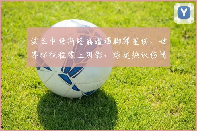 波兰中场斯塔赫遭遇脚踝重伤，世界杯征程蒙上阴影，球迷热议伤情与替代方案
